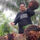 Seorang petani sawit di Riau terlihat usai panen di kebunnya.(ist)