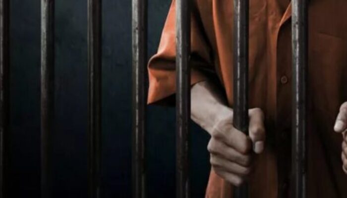 Lima Petinggi Fikasa Group Divonis 5 Tahun Penjara di PN Pekanbaru