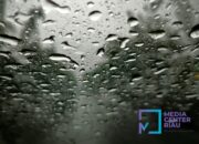 BMKG: Malam Ini Riau Masih Berpotensi Hujan Lebat Disertai Petir