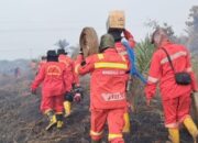 Karhutla di Riau Nihil, BPBD Ingatkan Waspada Banjir
