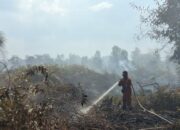 Polres Inhu Ringkus Dua Petani Pembakar Lahan, Ancaman Kabut Asap Ditekan