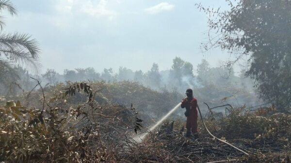 MataRiau.com - Seorang petugas terlihat tengah memadamkan api Karhutla di Riau.(ist)