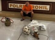 Geger, Polisi Temukan Organ Anjing Direbus di Dapur Rumah Makan di Bagan Batu