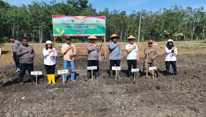 Polsek Rumbai Pesisir Perkuat Ketahanan Pangan Lewat Tanam Jagung