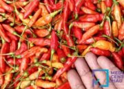 Inflasi Riau Capai 5,08 Persen, Begini Kata Sekda Syahrial Abdi