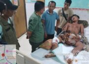 Polisi Laporkan Insiden ke TNBT, Diduga Konflik Satwa Liar