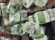 Polisi Gagalkan Penyelundupan 30 Kg Sabu di Pelabuhan Dumai