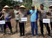 Wujudkan Kemandirian Pangan, Polresta Pekanbaru Tanam Jagung dan Gelar Pangan Murah