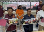 Polda Riau Tangkap Perusak Hutan di Kawasan Konservasi Bengkalis