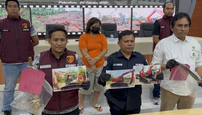 Polda Riau Tangkap Perusak Hutan di Kawasan Konservasi Bengkalis