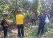 Bocah SD yang Sebelumnya Diserang Gajah Liar Dinyatakan Meninggal Dunia