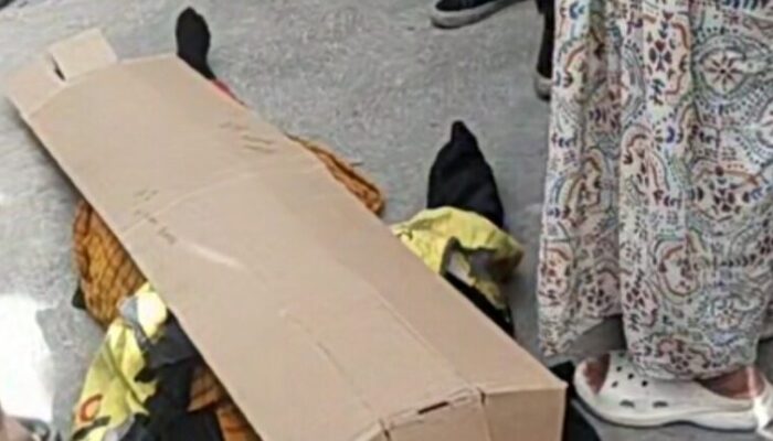 Driver Ojol Tewas dalam Kecelakaan Maut di Pekanbaru