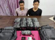 Ditresnarkoba Polda Riau Gagalkan Peredaran Ekstasi Antarprovinsi, 9 Paket Disita di Dumai
