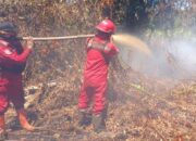 Sejak Juli 2025, Kasus Karhutla di Tanjung Peranap Masih Diselidiki Polres Meranti