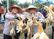 Hadiri Panen Raya Jagung Serentak, Begini Kata Kapolda Herimen