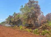 Karyawan BUMD Jadi Tersangka Perambahan Hutan di Bengkalis