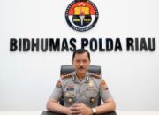 40 Saksi Diperiksa, Pembunuh Gajah di Pelalawan Riau Masih Misteri