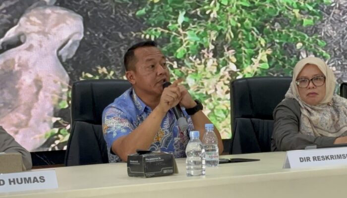 Gajah Sumatera Ditemukan Mati di Pelalawan, Polisi Temukan Proyektil Peluru