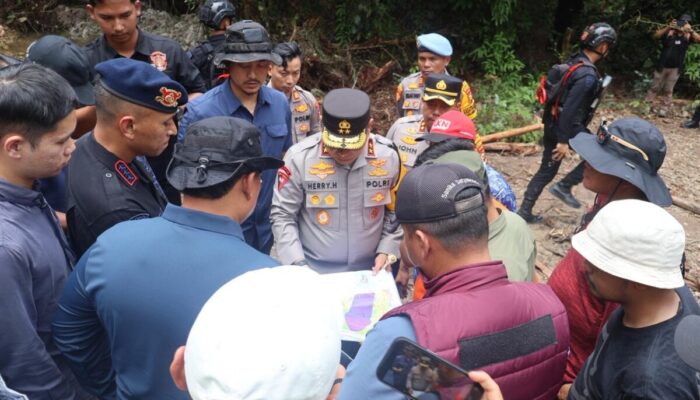 Gajah Sumatera Mati Ditembak dan Gading Hilang, Kapolda Turun Tangan