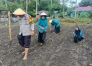 Dukung Program Prabowo-Gibran, Polsek Kunto Darussalam Galakkan Penanaman Jagung Pipil
