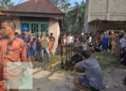 Sempat Berkeliaran di Dekat Permukiman, Beruang Madu Dievakuasi dan Dilepasliarkan