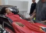 Harimau Sumatera Seret Warga Siak, Punggung Penuh Gigitan dan Cakaran