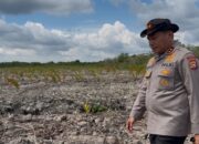 Kapolda Riau Datangi Lokasi Mangrove Rusak di Rohil, Dua Pelaku Diciduk