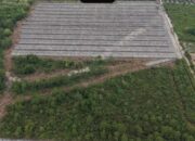 Polisi Tetapkan HW Tersangka Dugaan Perusakan Hutan Mangrove di Rohil