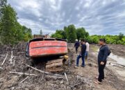 Polda Riau Ungkap Dugaan Perambahan 111,77 Hektare Mangrove di Dumai