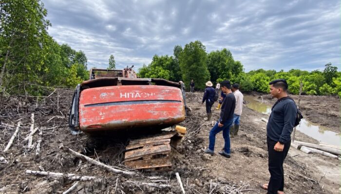 Polda Riau Ungkap Dugaan Perambahan 111,77 Hektare Mangrove di Dumai