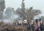 Bertambah, Polda Riau Kini Tangani 45 Kasus Karhutla, 49 Orang Jadi Tersangka