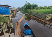 10 Ton Kayu Olahan Diamankan di Sinaboi, Polisi Telusuri Asal dan Pemasoknya