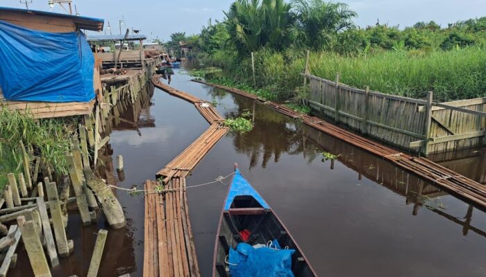 10 Ton Kayu Olahan Diamankan di Sinaboi, Polisi Telusuri Asal dan Pemasoknya