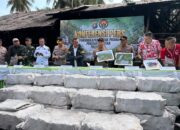 Polda Riau Bongkar Dapur Produksi Arang Mangrove, 2 Tersangka Diamankan