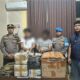 Polisi Gagalkan Peredaran 18 Kg Ganja di Kuansing, Begini Kronologinya